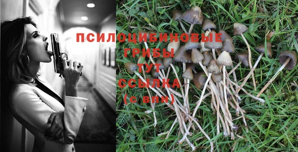 мяу мяу мука Бронницы