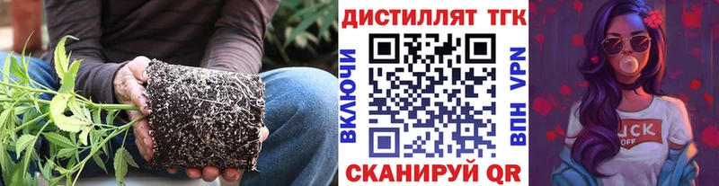 Дистиллят ТГК Wax Микунь