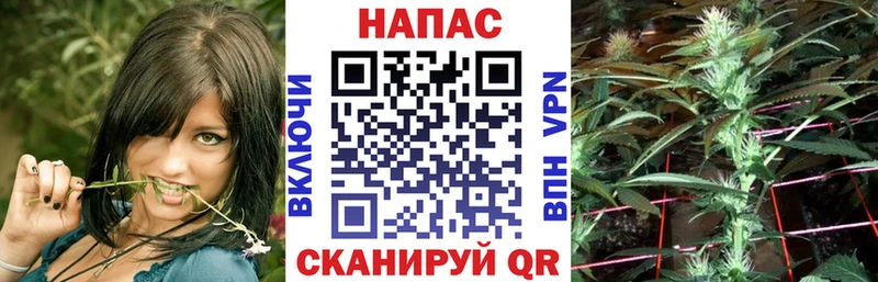 KRAKEN ONION  Микунь  Марихуана планчик 